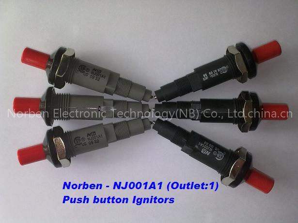 Ignitor