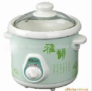 electric soup pot