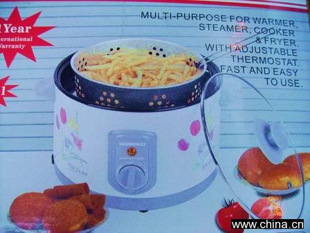 Fryer & Multi-Function Cooker