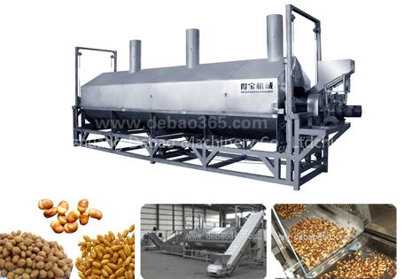DBG continuous fryer
