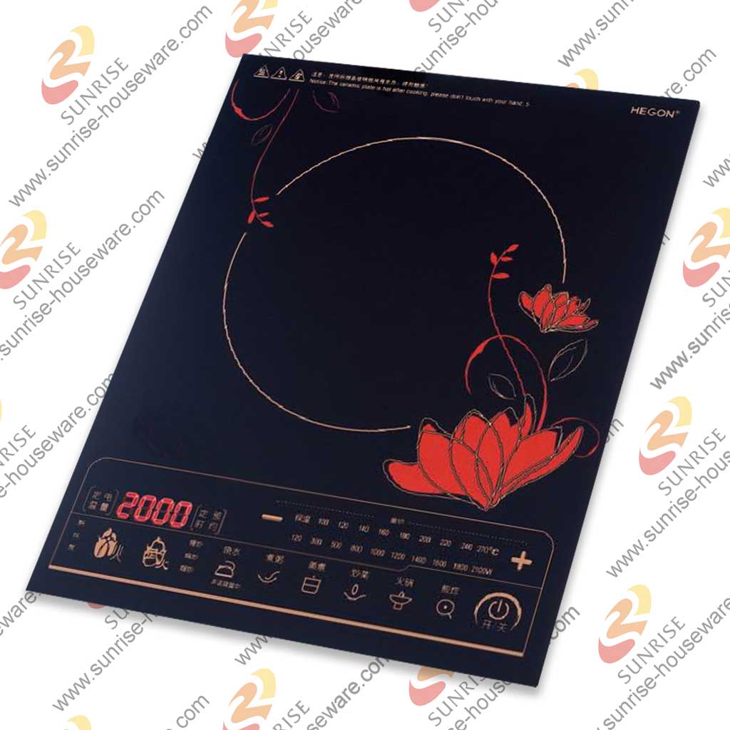 Induction Cooker