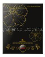 induction cooker