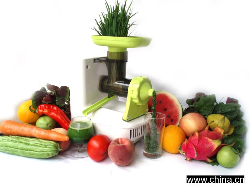 Wheat Grass Juicer