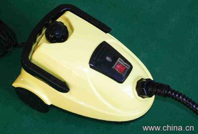 Steam Cleaner