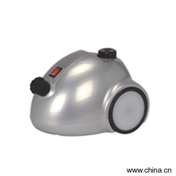 Steam Cleaner