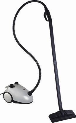 Multi-function steam cleaner