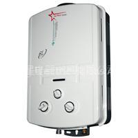Gas Water Heater(S10)