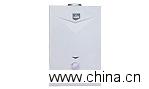 Gas Heater (JSD12-D6D)