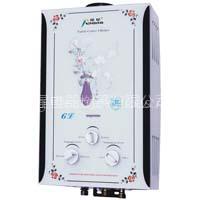 Gas Water Heater(S8)
