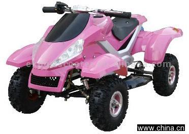Mini Quad Bike