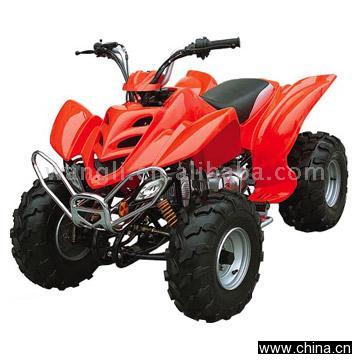 ATV (110cc Raptor)