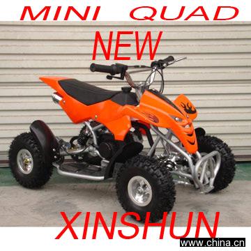 Mini Quad