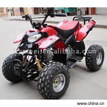 Polaris Style Mini Quad
