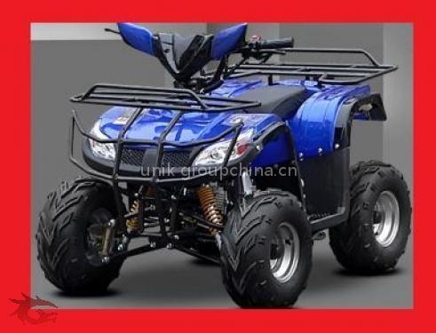 Chilren bull ATV