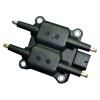 Auto Electronic Igniter (China (Mainland))