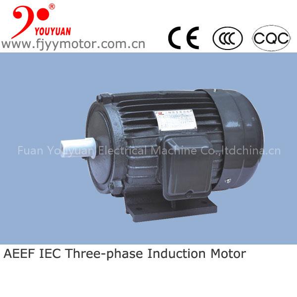 AEEF series IEC standard three phase electric motor kw