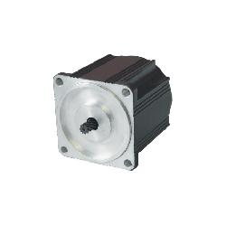 China (Mainland) Brushless Motor