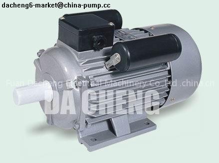 Electric Motor YC series