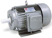 Y THREE PHASE ASYNCHRONOUS INDUCTION MOTOR