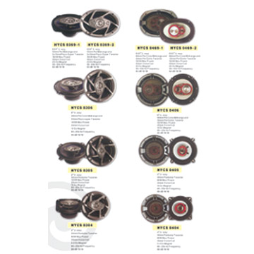 Car Speakers