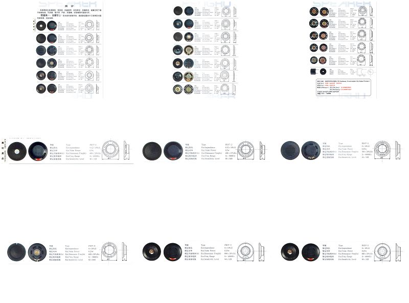 China (Mainland) Professional Speaker Catalog1