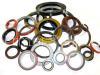 Bearing Seals