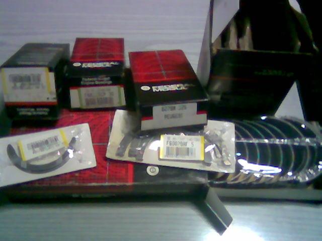 Turkey Federal-mogul Bearings