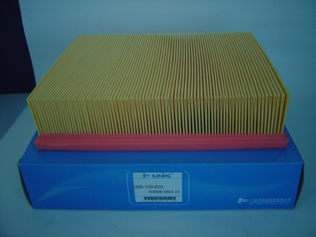 China (Mainland) Air Filter