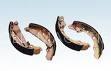 brake shoe
