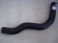 Lower Radiator hose
