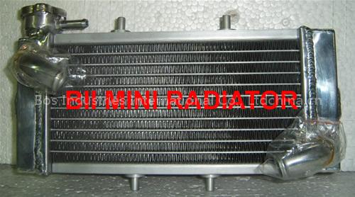 aluminum mini radiator ( motorcycle radiator )