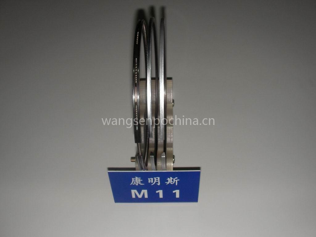 piston ring