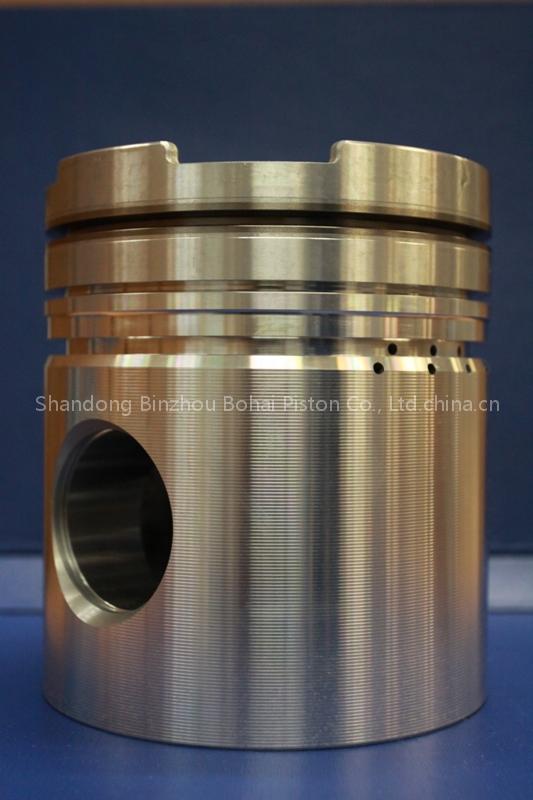 Piston 3095739