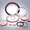 PTFE lip oil seals