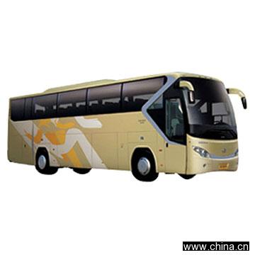Company / School Bus
