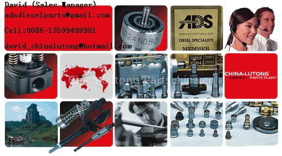 fuel injection parts,auto mobile parts, auto spare parts,head rotor,nozzle,element,plunger,supply pump,gasket kit,delivery valve,magnet valve,