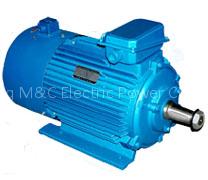 AZR series hoist application motor