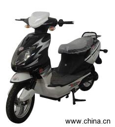 750W Electric Motor Scooter (B 09)