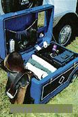Plastic trunk by rotomolding