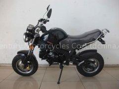 Mini Bike 125 CC 4 Speed Manual