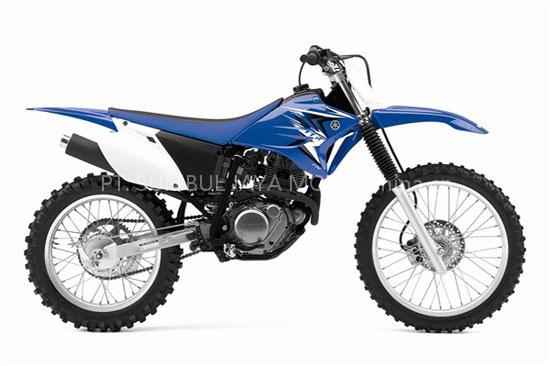 Dirt BikeYamaha TT-R230 2009