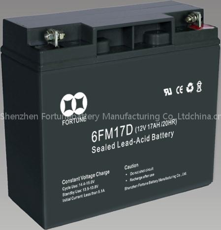 Electric Vehicle Series Sealed Lead Aicd Battery