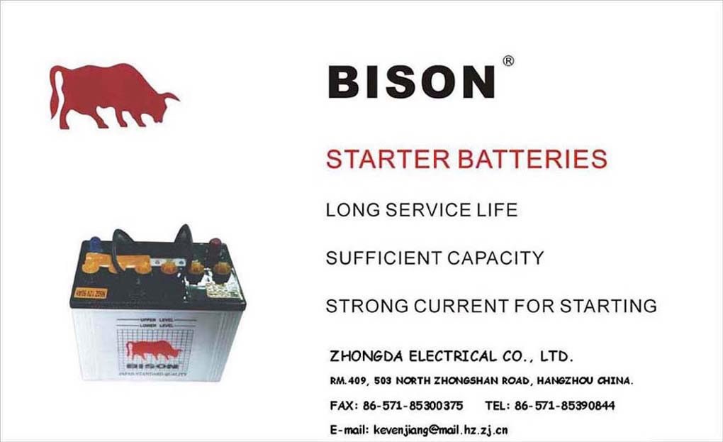 China (Mainland) Auto Battery
