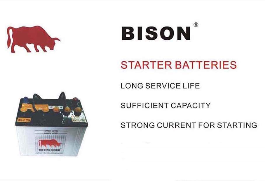 China (Mainland) Car Battery