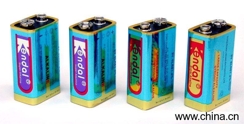 9V Alkaline Battery