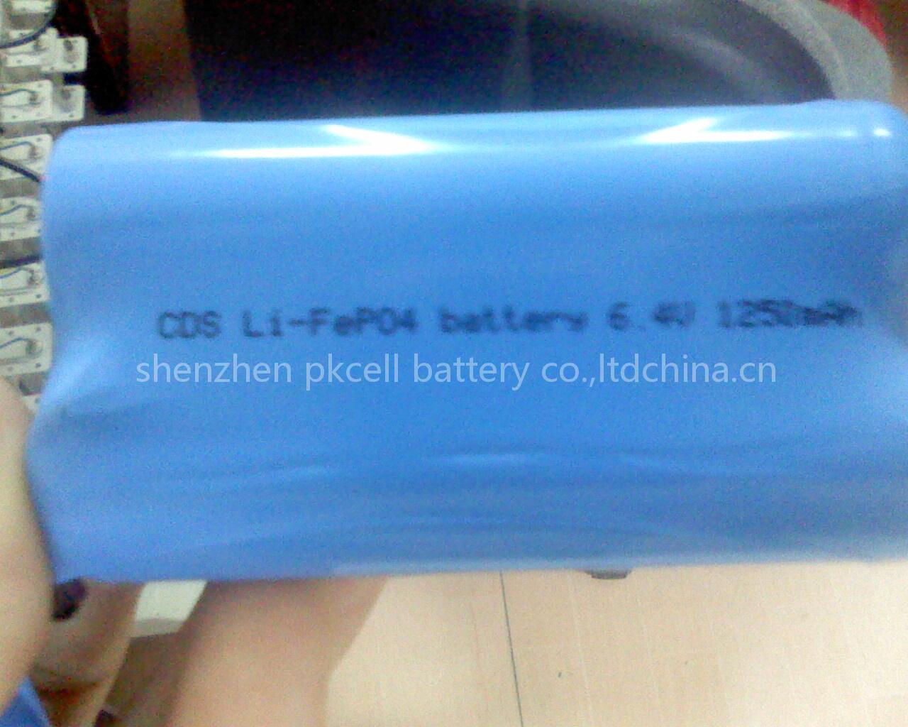 li-fepo4 battery