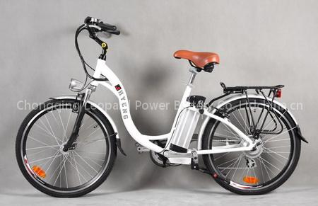 Lithium polymer battery for electric bicycle