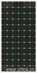 170W Monocrystalline