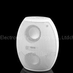 wireless speaker system