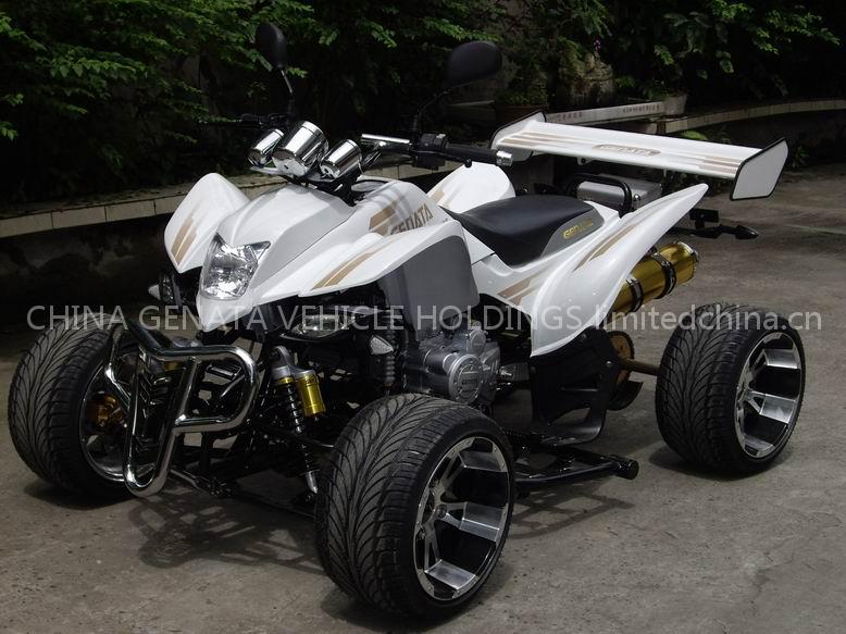 Japan Brand EEC ATV GT250L-RE